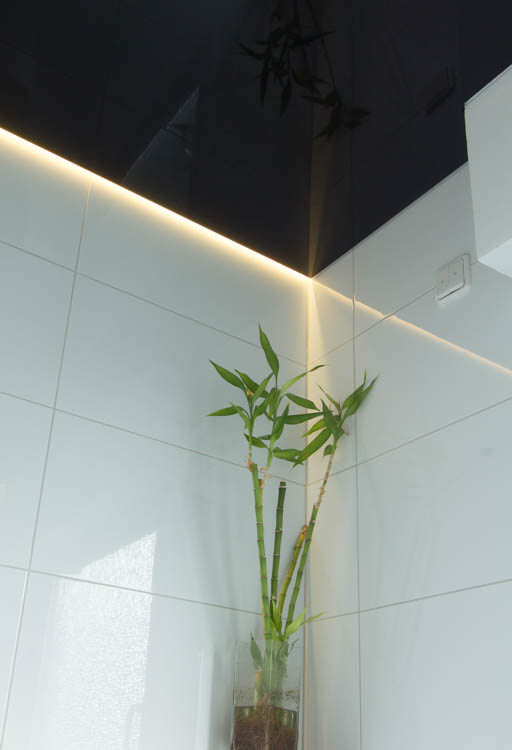 Schwarze Lackspanndecke im Gäste-WC, mit Lichtleiste indirektes Licht