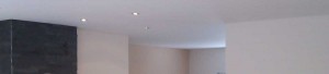 Wohnzimmer mit Kamin und Spanndecke